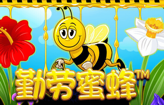 必搏体育下载